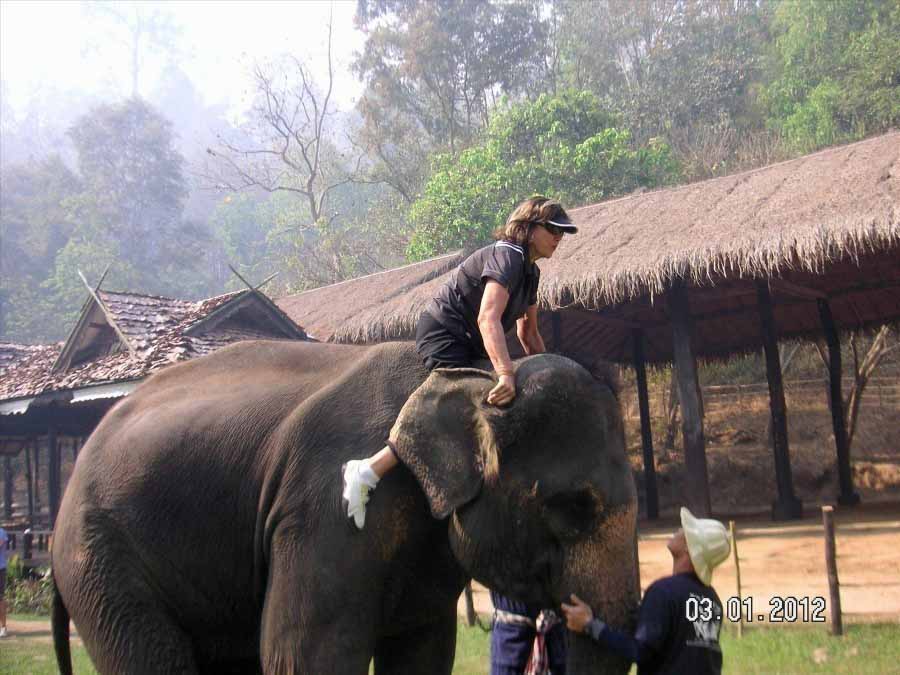 Time to visit the elephants and have a ride