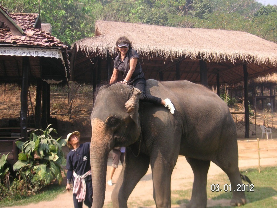 Time to visit the elephants and have a ride