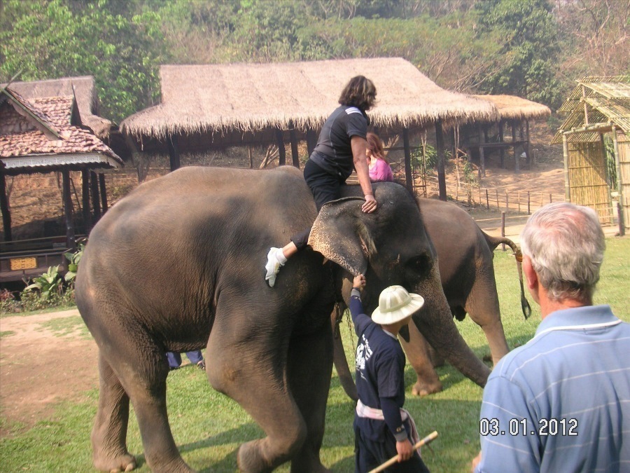 Time to visit the elephants and have a ride