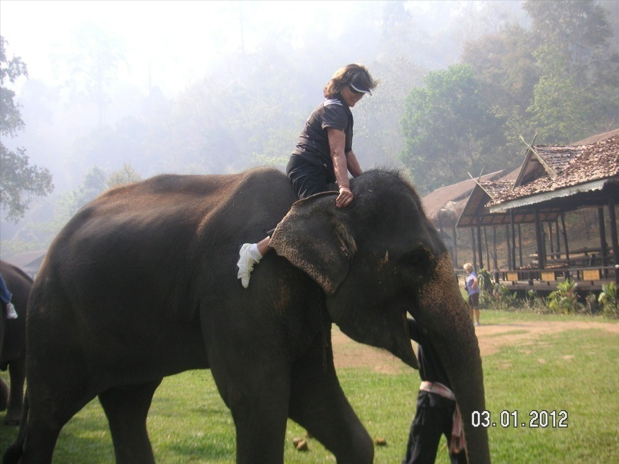 Time to visit the elephants and have a ride