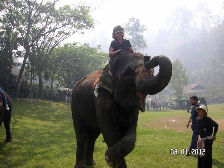 Time to visit the elephants and have a ride