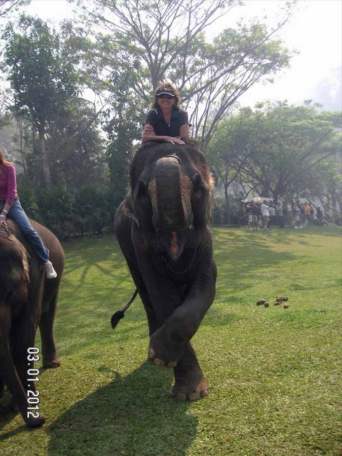 Time to visit the elephants and have a ride