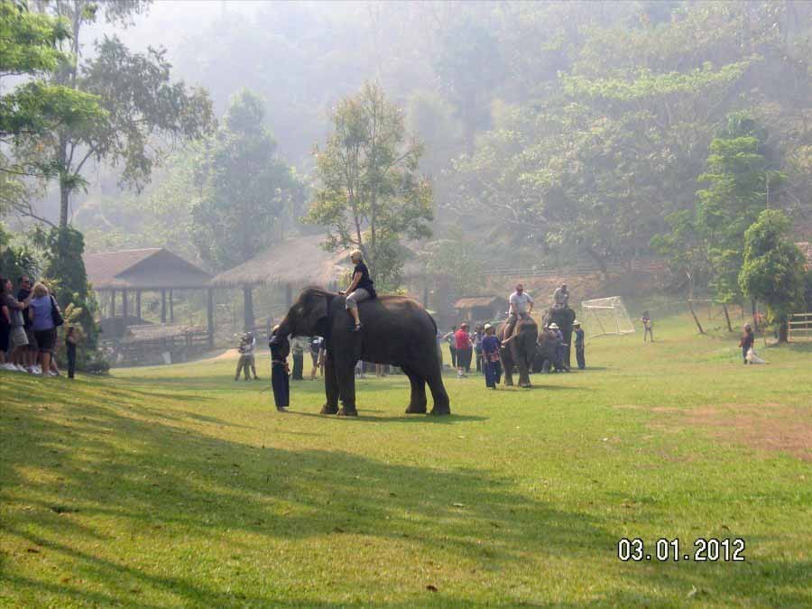 Time to visit the elephants and have a ride