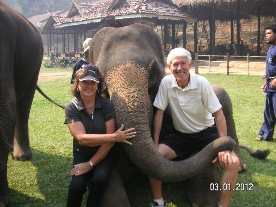 Time to visit the elephants and have a ride