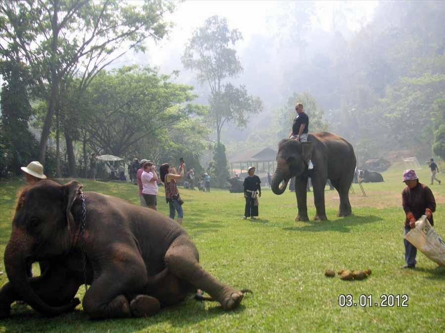 Time to visit the elephants and have a ride