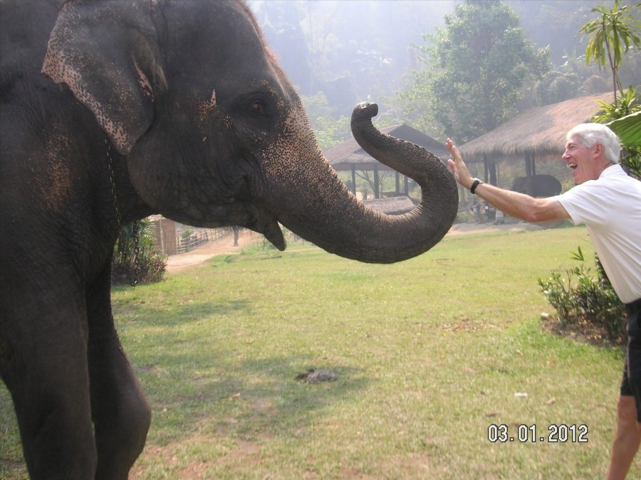 Time to visit the elephants and have a ride