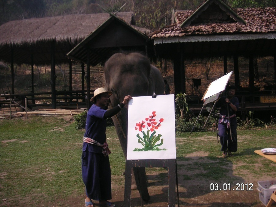 Time to visit the elephants and have a ride