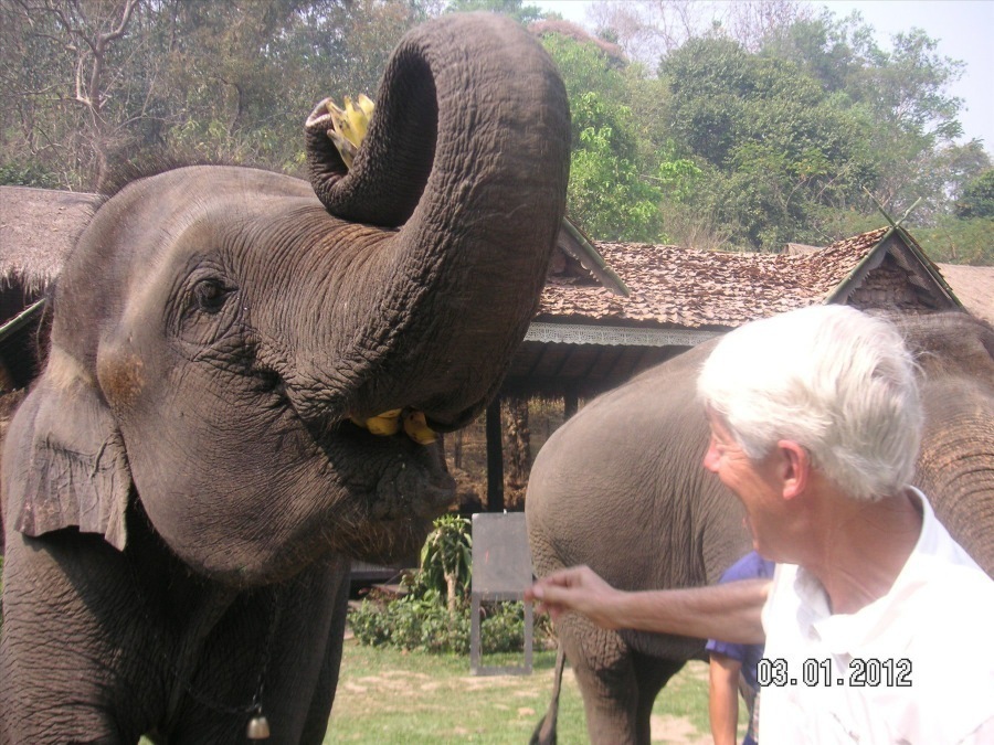 Time to visit the elephants and have a ride