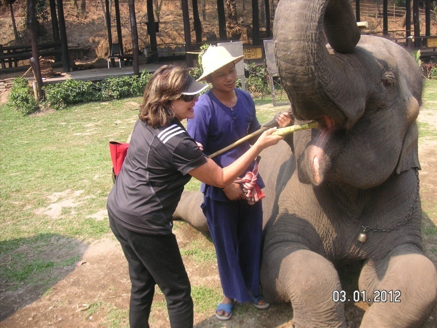 Time to visit the elephants and have a ride