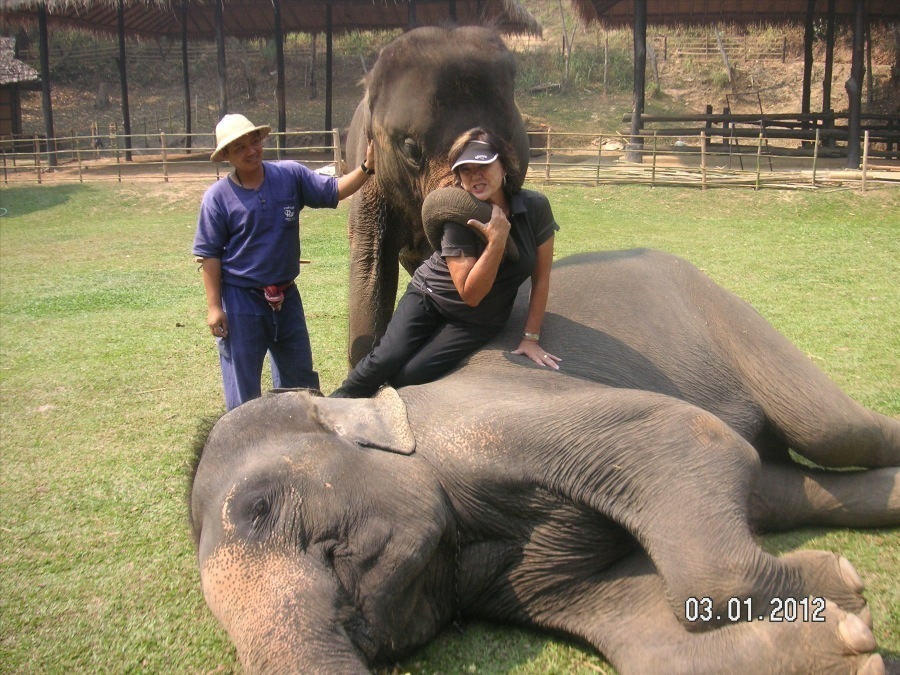 Time to visit the elephants and have a ride