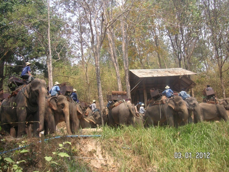 Time to visit the elephants and have a ride