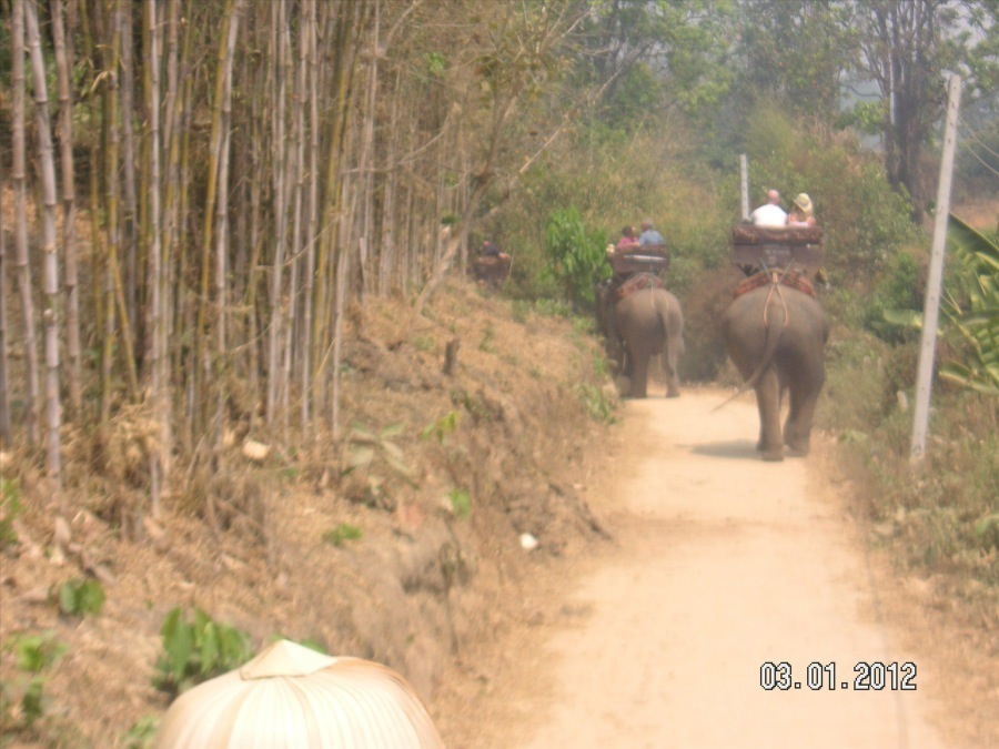 Time to visit the elephants and have a ride