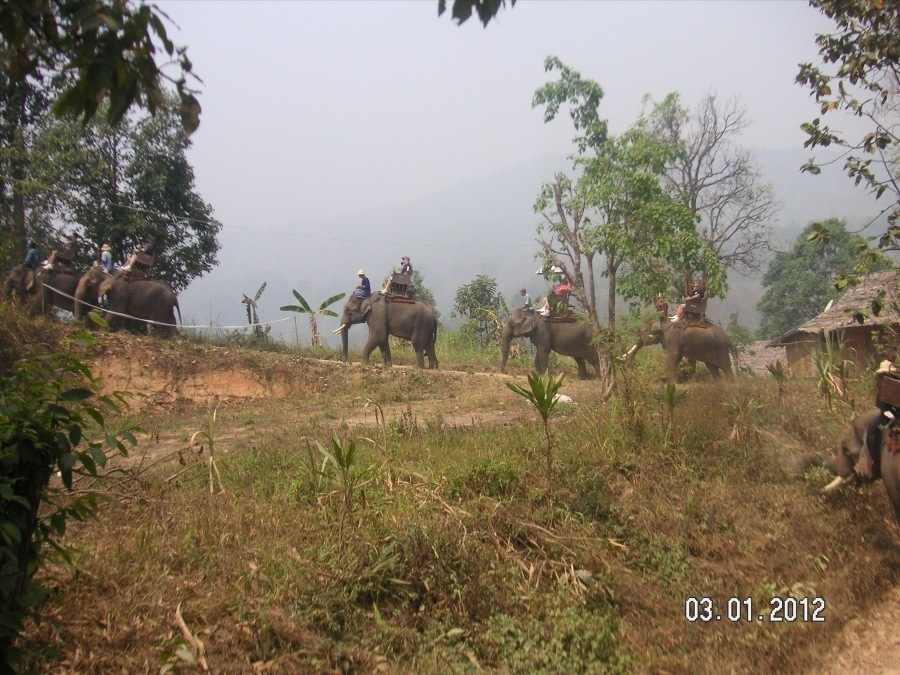 Time to visit the elephants and have a ride