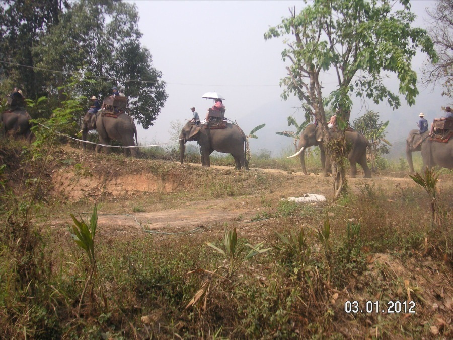 Time to visit the elephants and have a ride