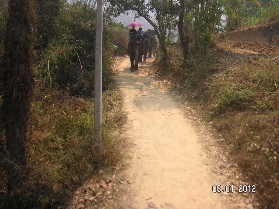 Time to visit the elephants and have a ride