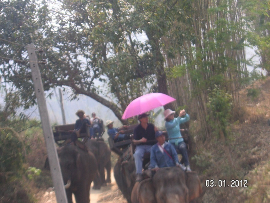 Time to visit the elephants and have a ride