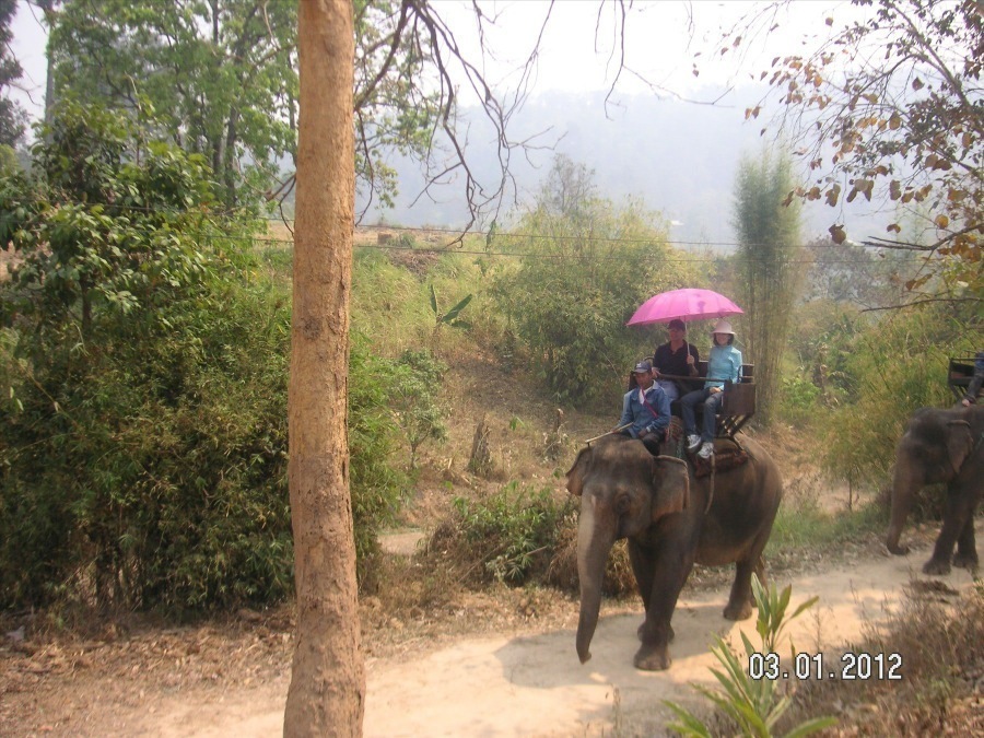 Time to visit the elephants and have a ride