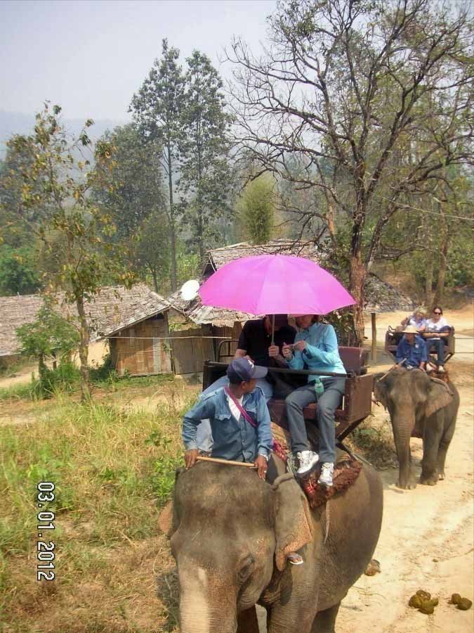 Time to visit the elephants and have a ride