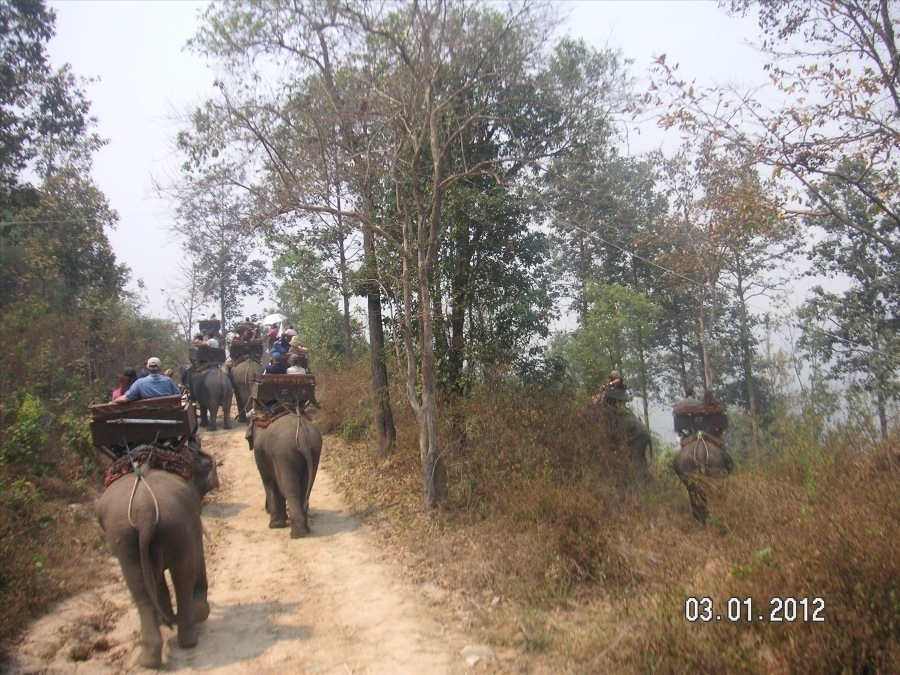 Time to visit the elephants and have a ride