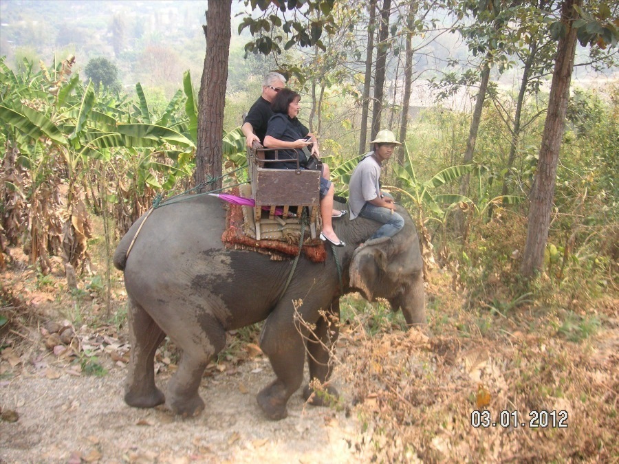 Time to visit the elephants and have a ride