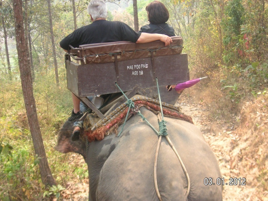 Time to visit the elephants and have a ride