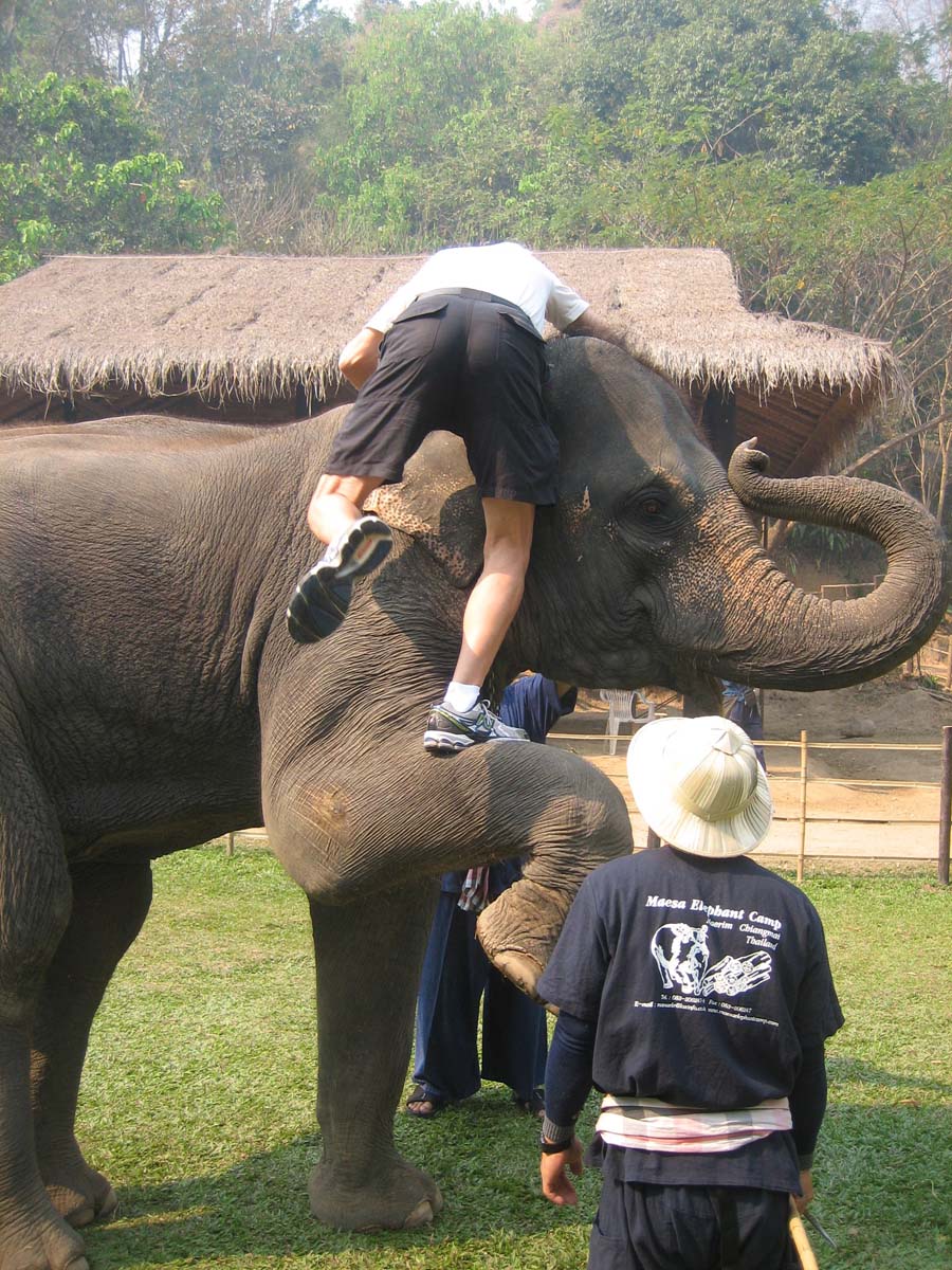 Time to visit the elephants and have a ride