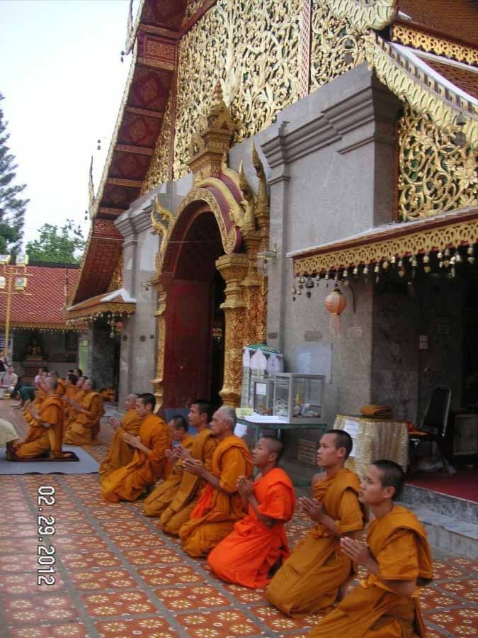 The Burns in Bangkok Thailand