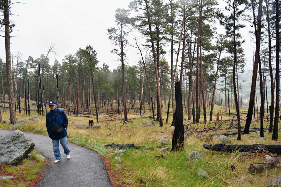 Kathy goes to the Devils Tower May 2015