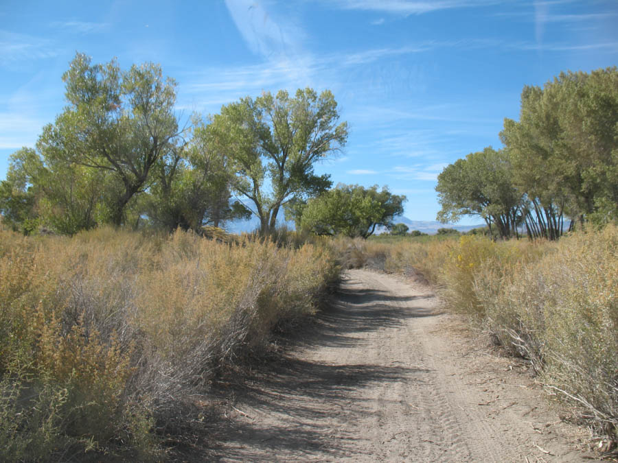 Bob and Sandy discover the area arounds Bishop