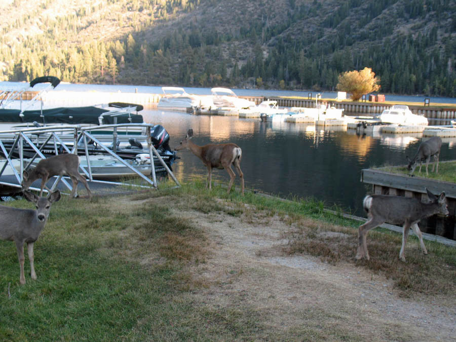 Bob and Sandy travel the high sierras