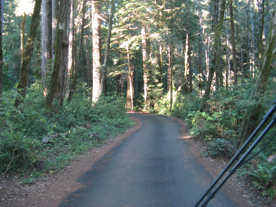 From Redding To Cresent City traveling with Bob and Sandy