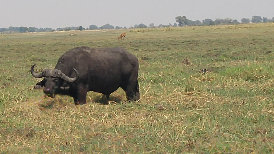 Janice visits Africa October 2016