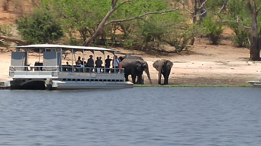 Janice visits Africa October 2016