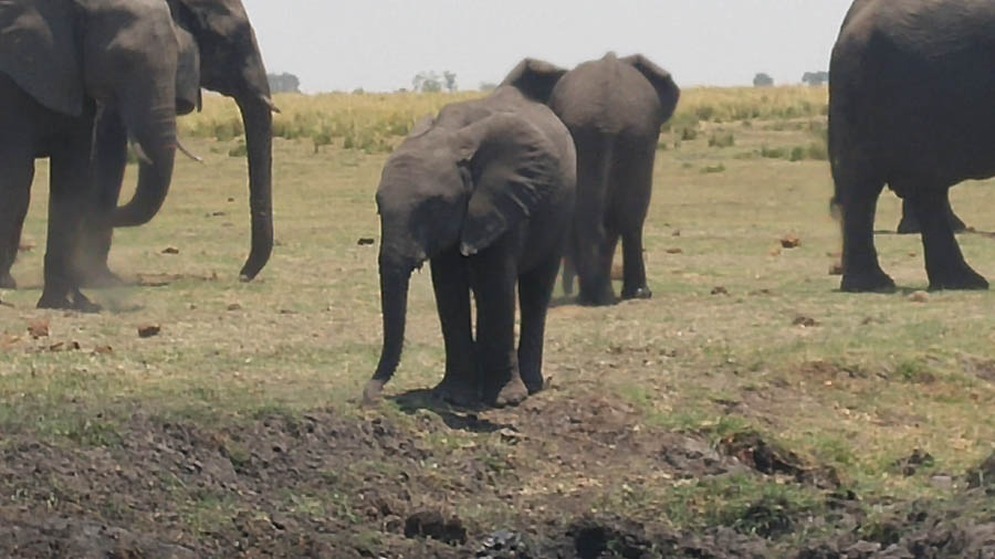 Janice visits Africa October 2016