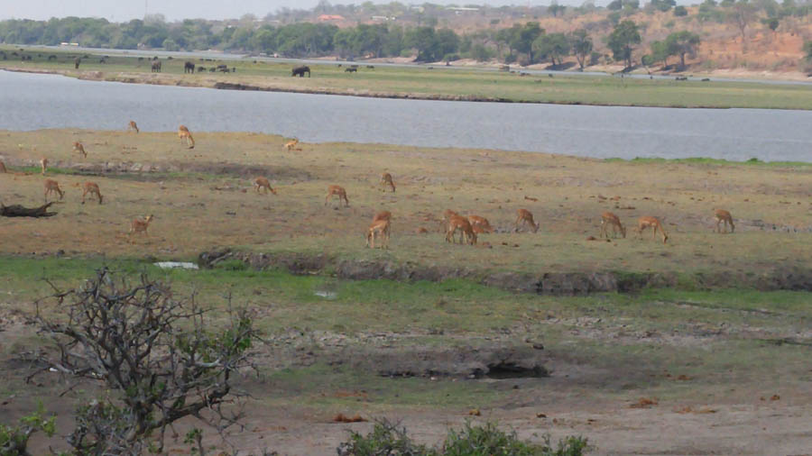 Janice visits Africa October 2016