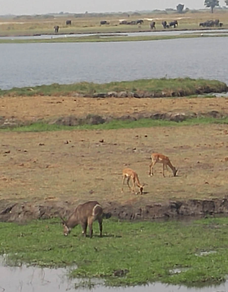 Janice visits Africa October 2016