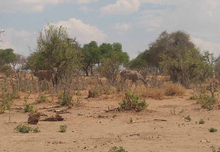 Janice visits Africa October 2016