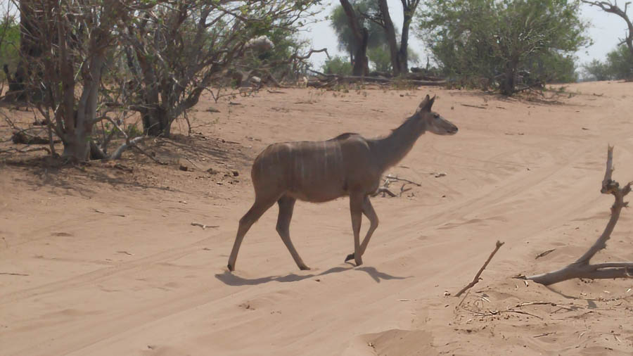 Janice visits Africa October 2016