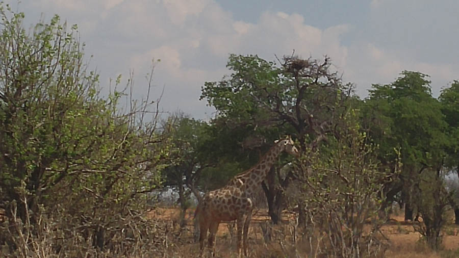 Janice visits Africa October 2016