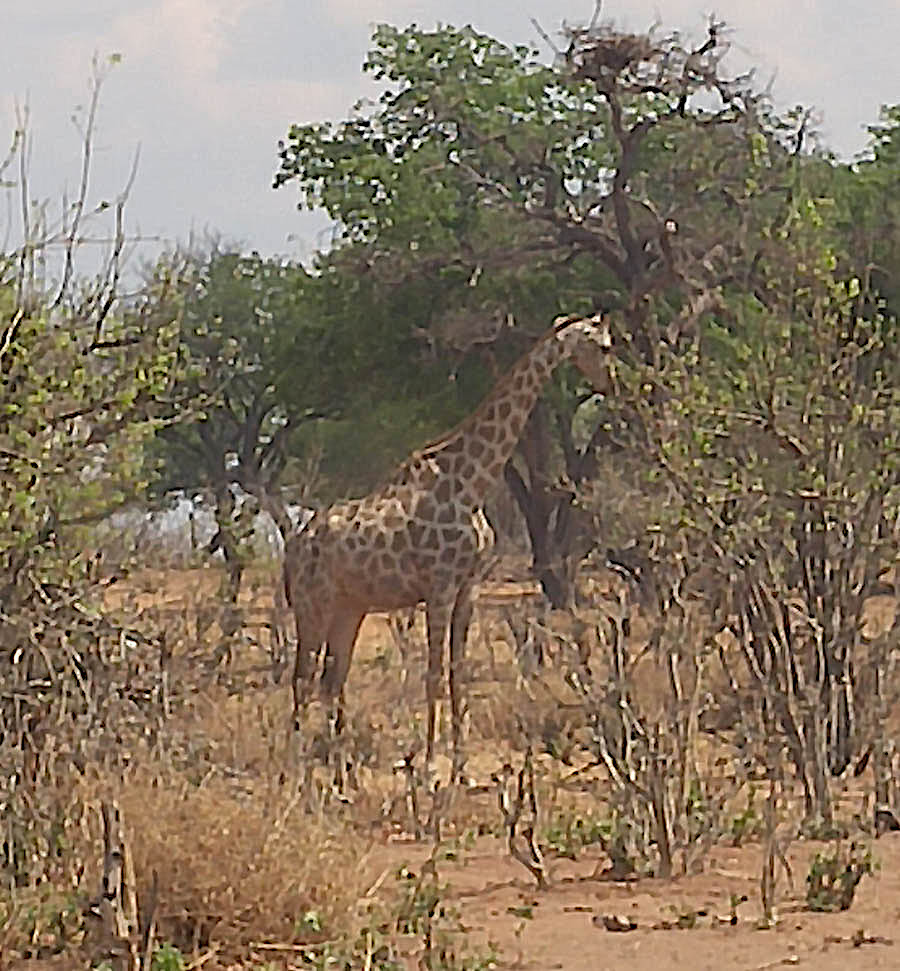 Janice visits Africa October 2016