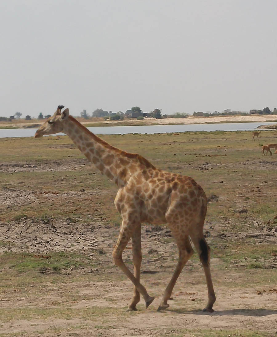 Janice visits Africa October 2016