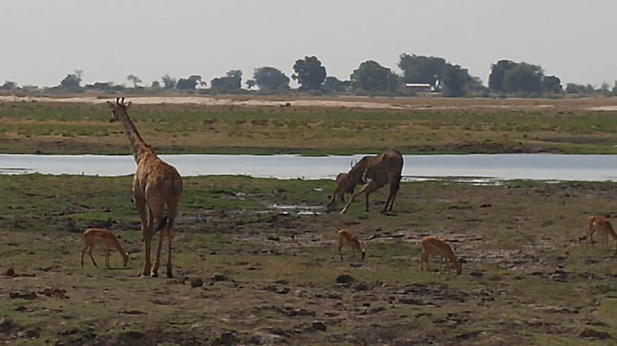 Janice visits Africa October 2016