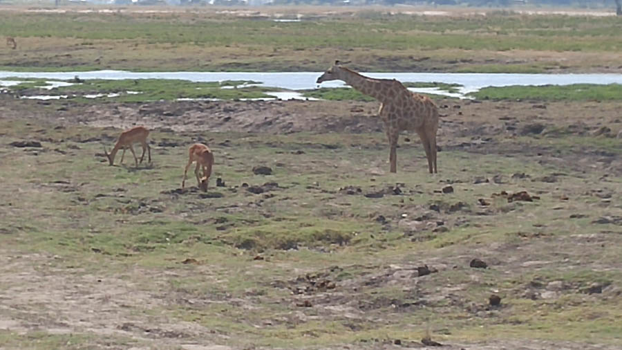 Janice visits Africa October 2016