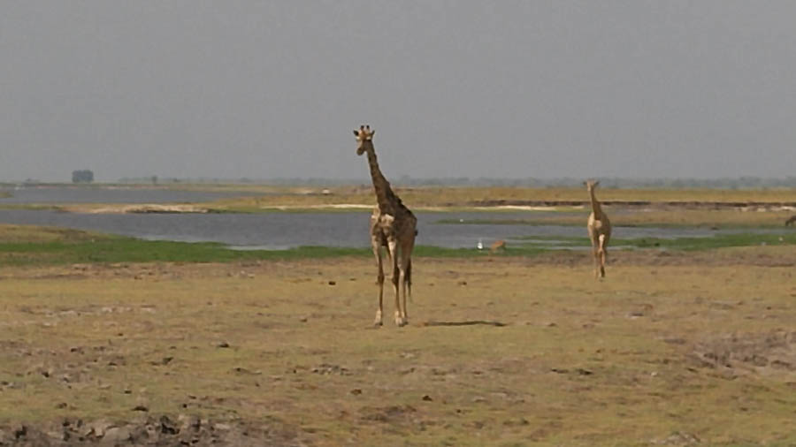 Janice visits Africa October 2016