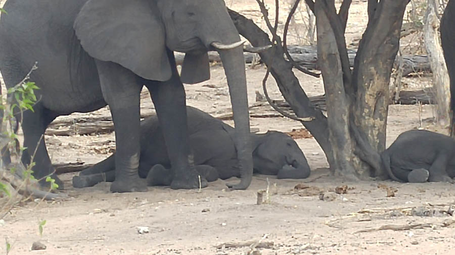 Janice visits Africa October 2016