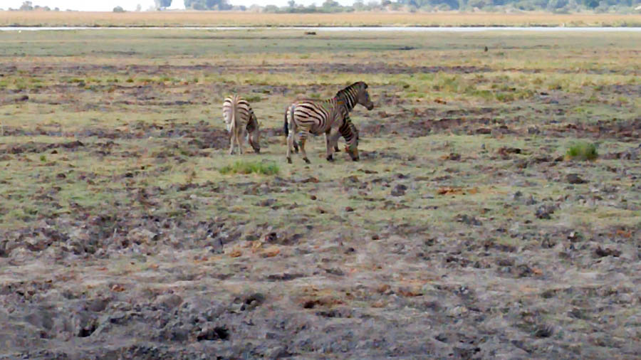 Janice visits Africa October 2016