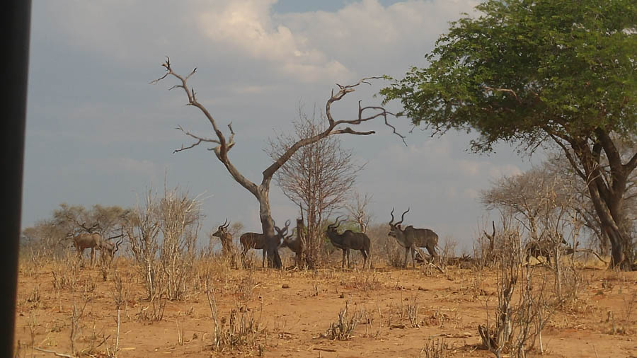 Janice visits Africa October 2016