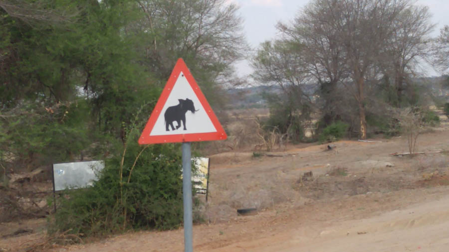 Janice visits Africa October 2016