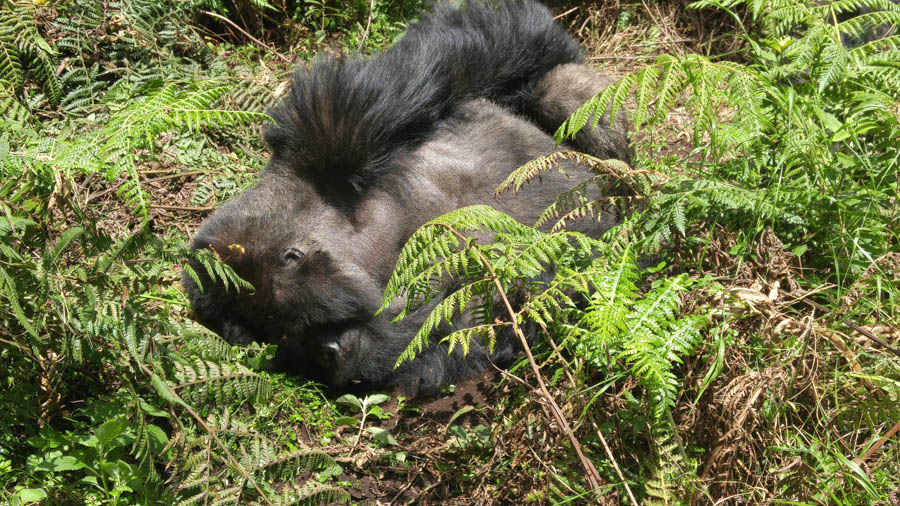 Janice visits Africa October 2016