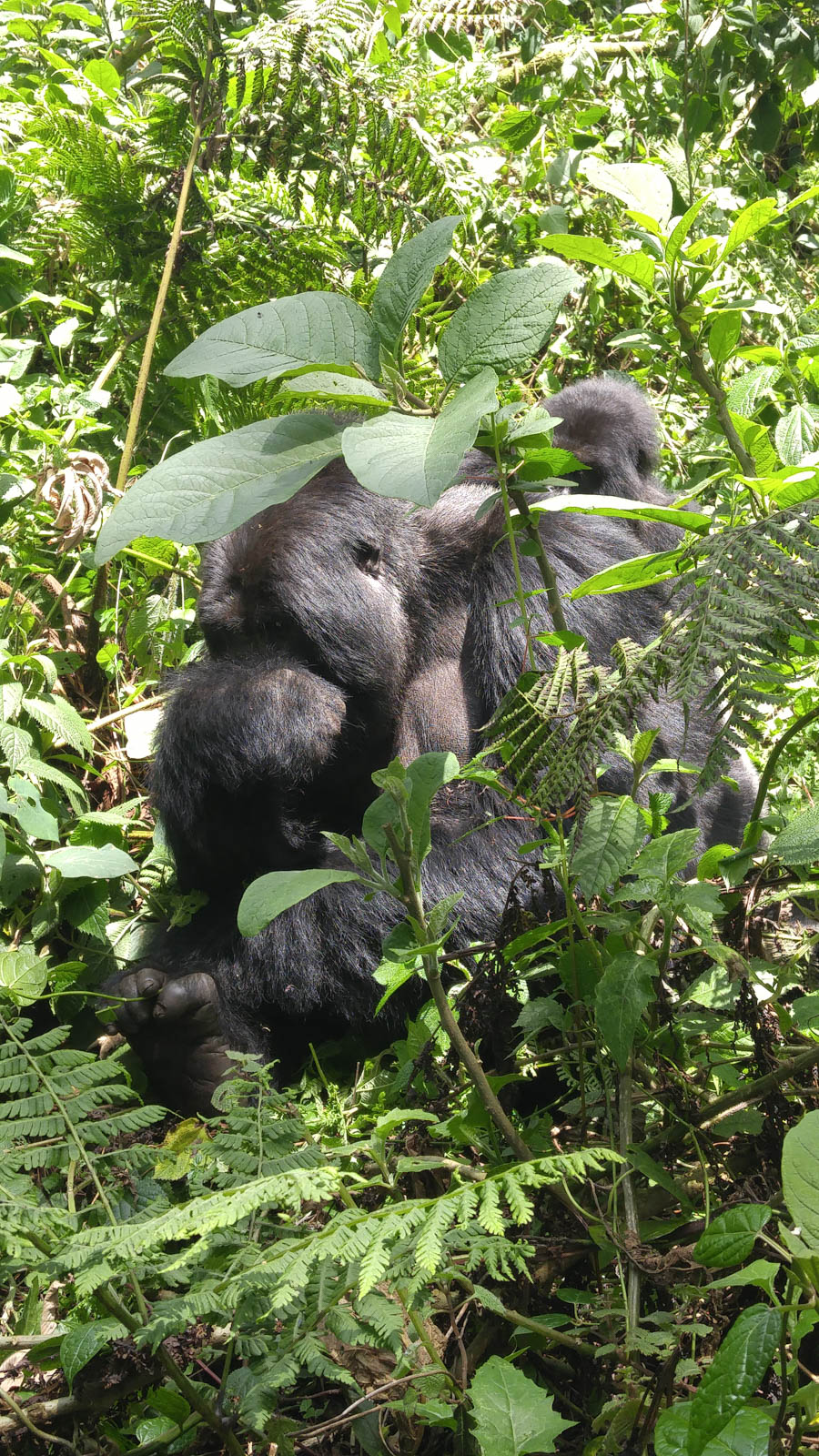 Janice visits Africa October 2016